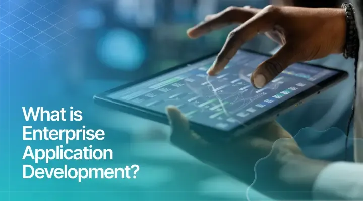#### What is Enterprise Application Development?